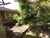 Terreno, 5 hectares - Foto 4