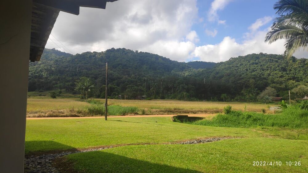 Chácara, 3 quartos, 2 hectares - Foto 4