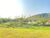 Terreno, 2001 m² - Foto 5