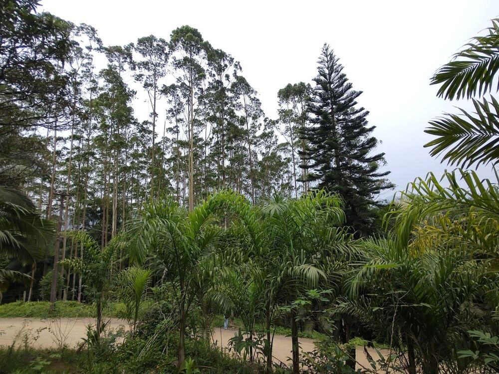 Sítio à venda, 32553M2 - Foto 1