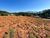 Loteamento e Condomínio, 485 m² - Foto 8