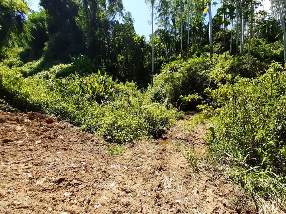 Terreno à venda, 93115M2 - Foto 1