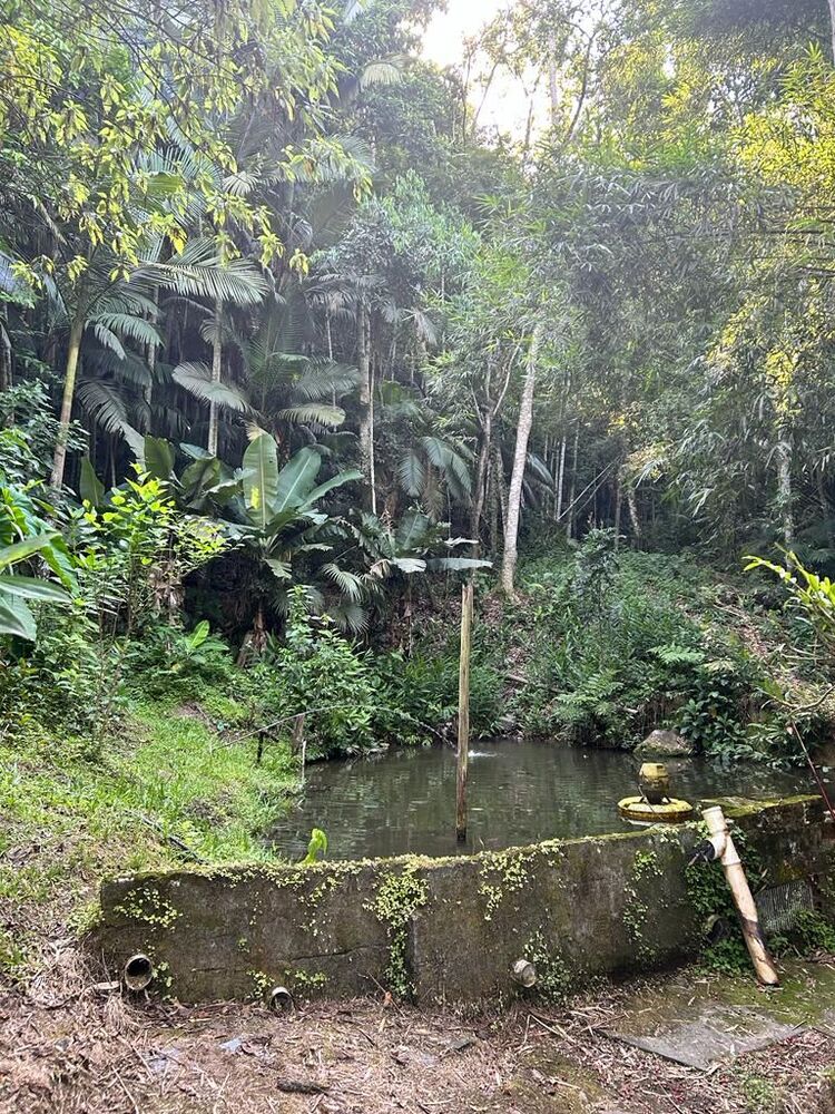 Casa à venda com 5 quartos, 10000M2 - Foto 4