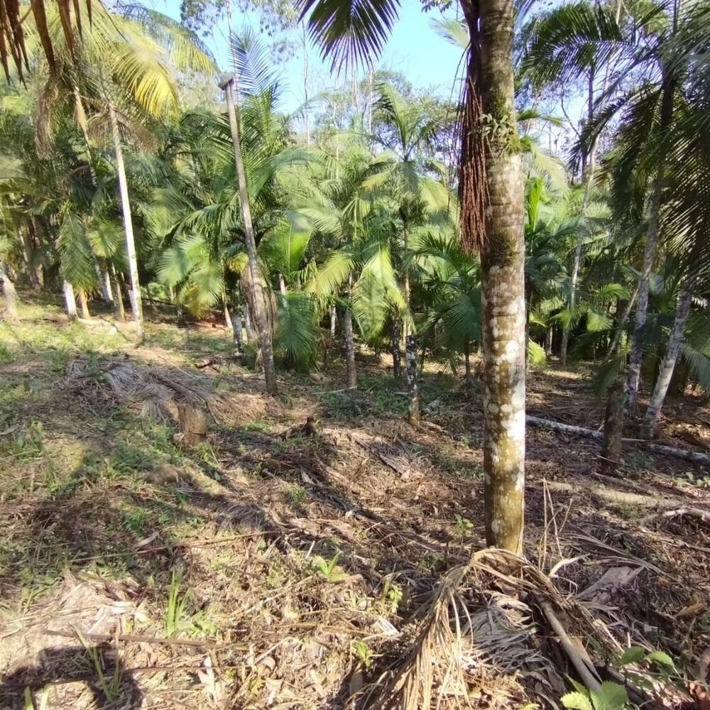 Terreno à venda, 20000M2 - Foto 2