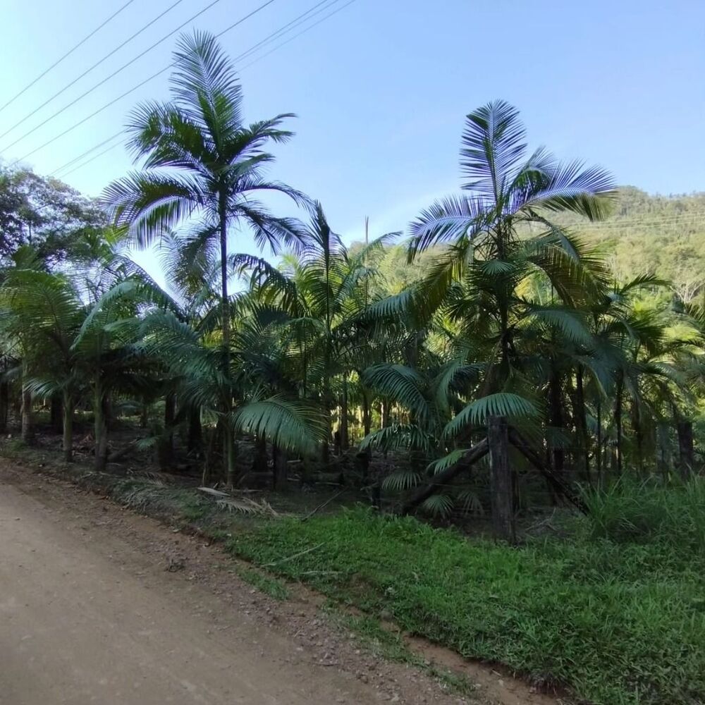 Terreno à venda, 20000M2 - Foto 4