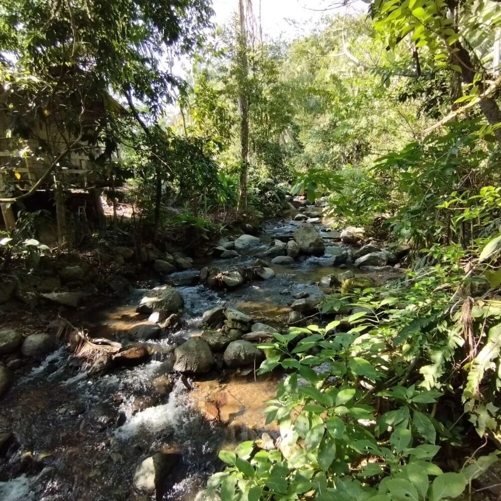 Terreno à venda, 20000M2 - Foto 3