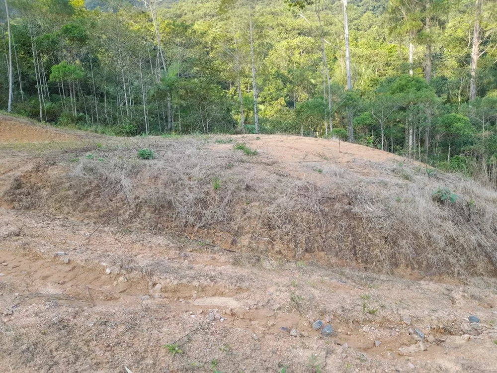 Terreno à venda, 20000M2 - Foto 4