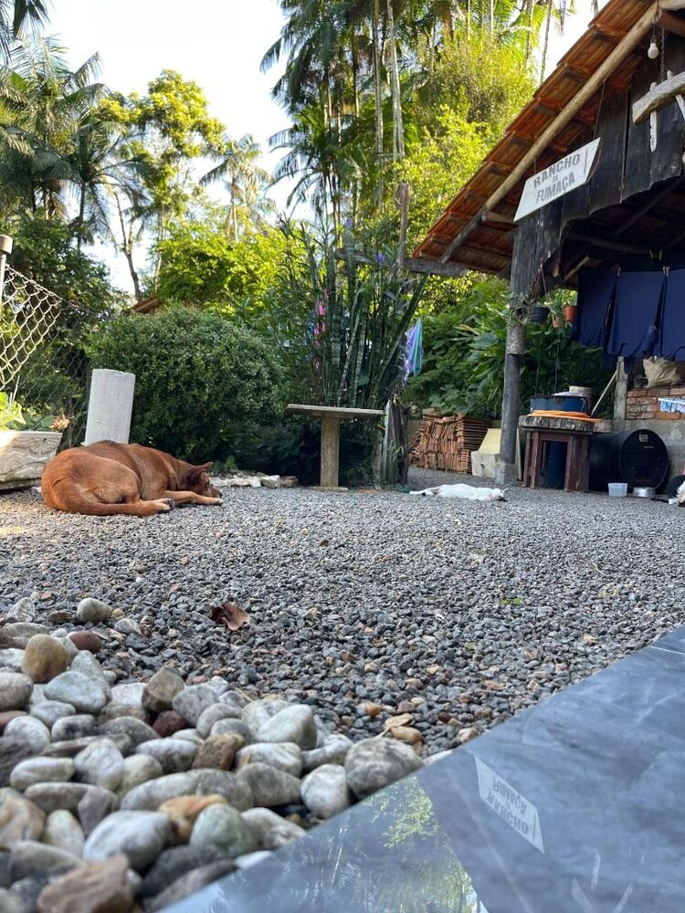 Casa à venda com 3 quartos, 1000M2 - Foto 1