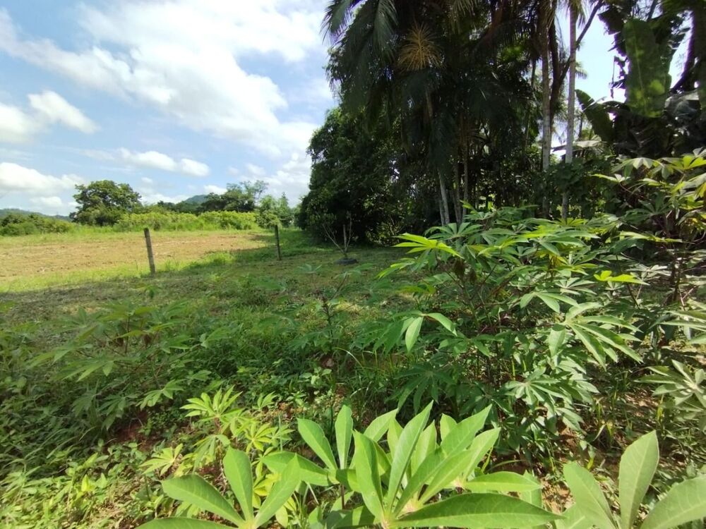 Casa, 4 quartos, 258 m² - Foto 8