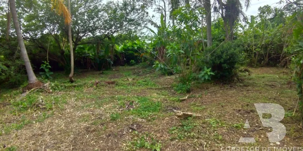 Terreno - Foto 2
