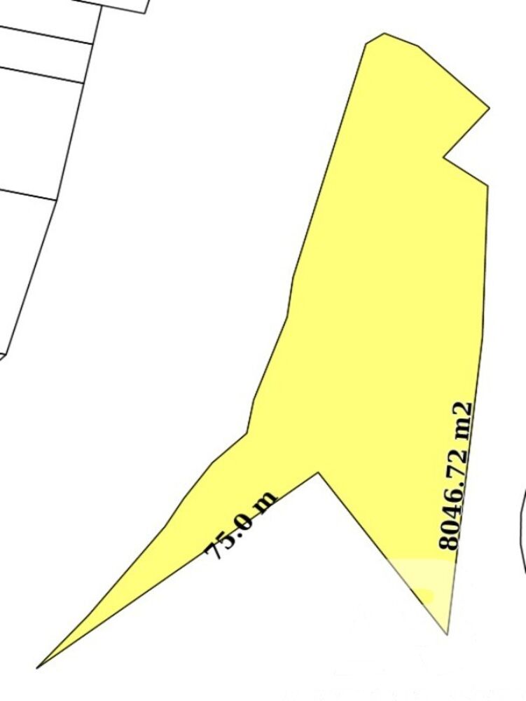 Terreno à venda, 10352m² - Foto 4