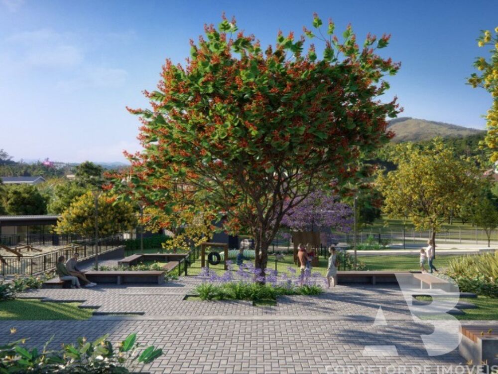 Terreno, 200 m² - Foto 3
