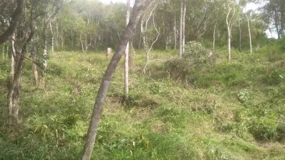 Terreno à venda, 1494 - Foto 2