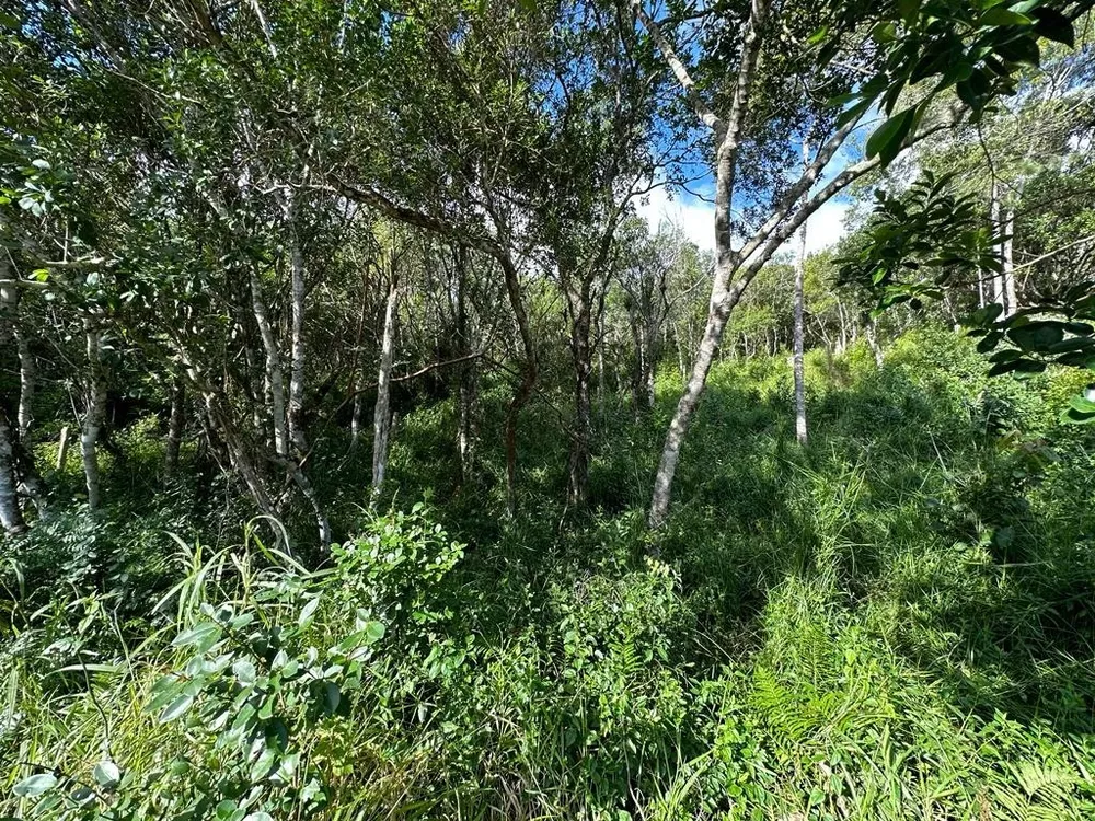 Terreno à venda, 1494 - Foto 3