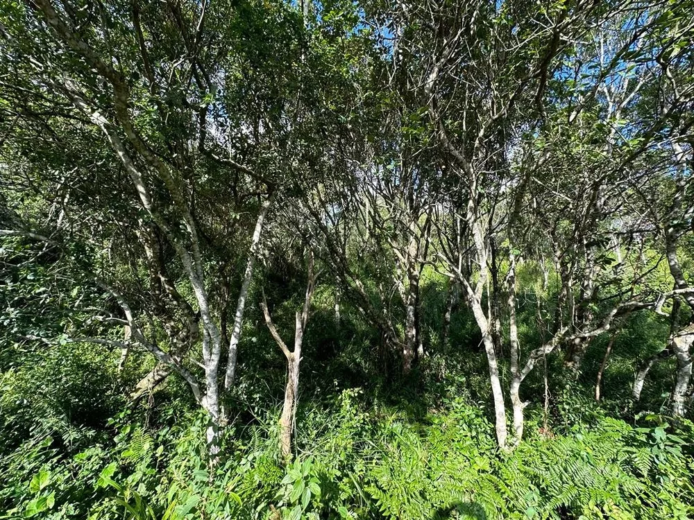 Terreno à venda, 1494 - Foto 1