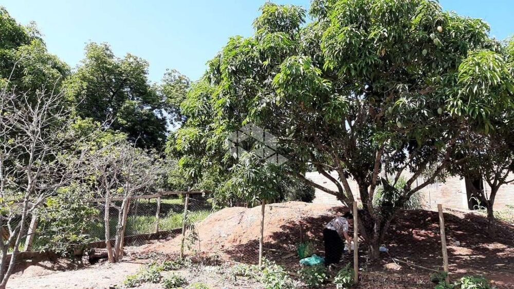 Chácara, 3 quartos, 400 m² - Foto 2