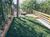 Casa, 4 quartos, 320 m² - Foto 2