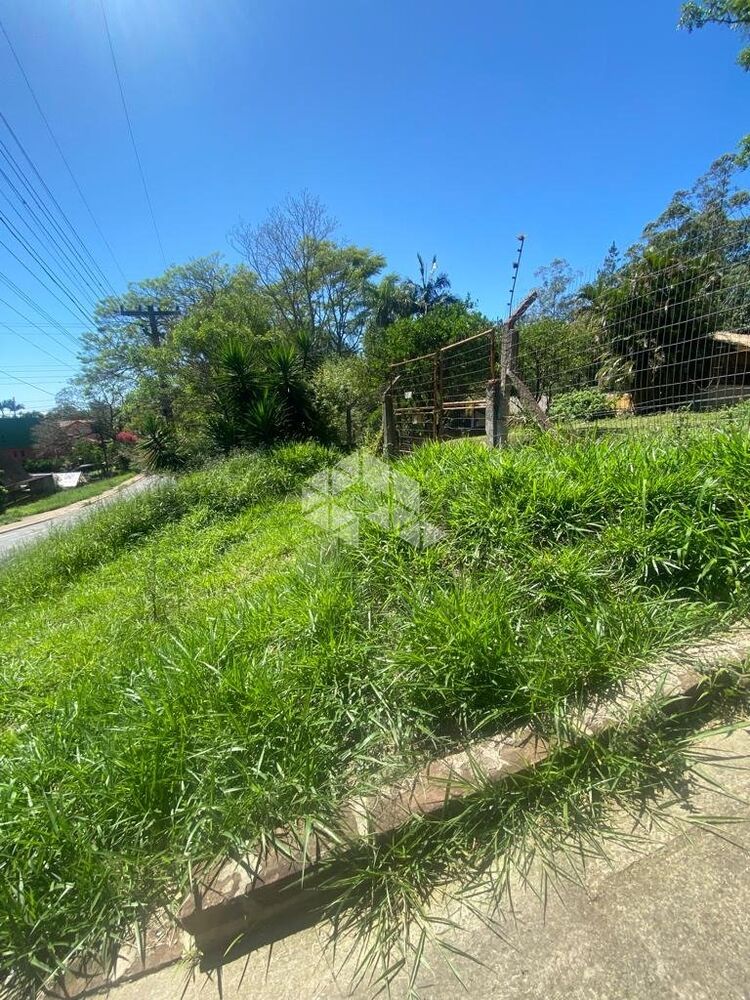 Terreno à venda, 43m² - Foto 4