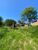 Terreno, 43 m² - Foto 6