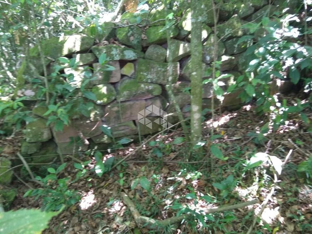 Chácara à venda com 3 quartos, 26335m² - Foto 3