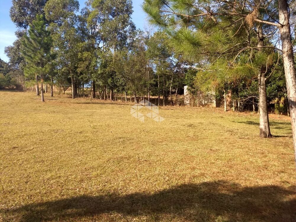 Sítio, 10000 m² - Foto 4