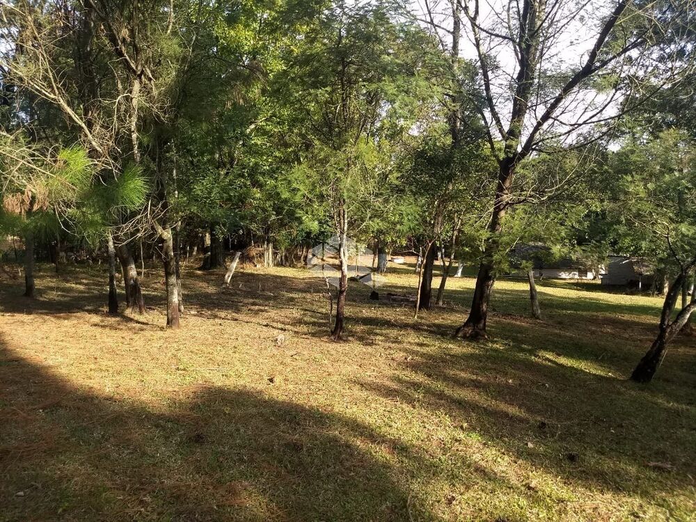 Sítio, 10000 m² - Foto 6