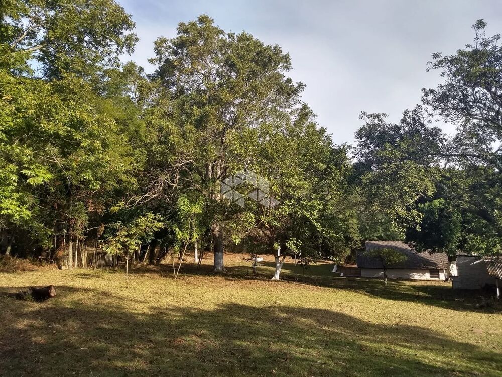 Sítio, 10000 m² - Foto 1