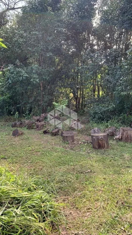 Sítio, 2000 m² - Foto 7