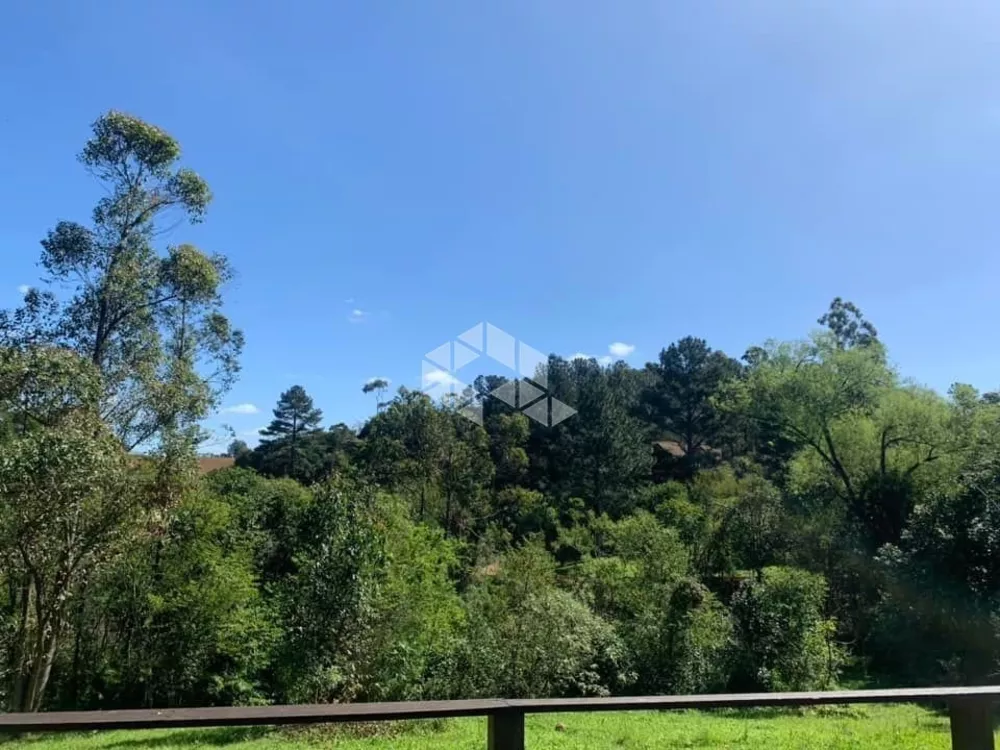 Sítio, 2000 m² - Foto 5