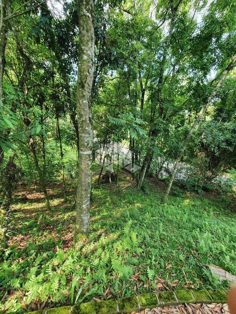 Chácara à venda, 333m² - Foto 1