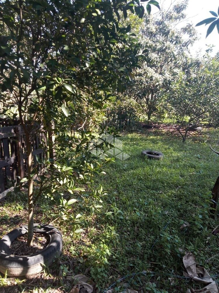 Terreno, 5000 m² - Foto 1