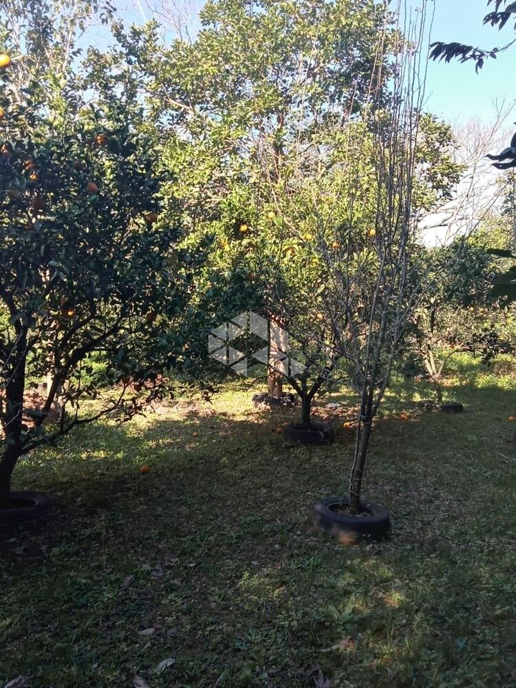 Terreno, 5000 m² - Foto 4