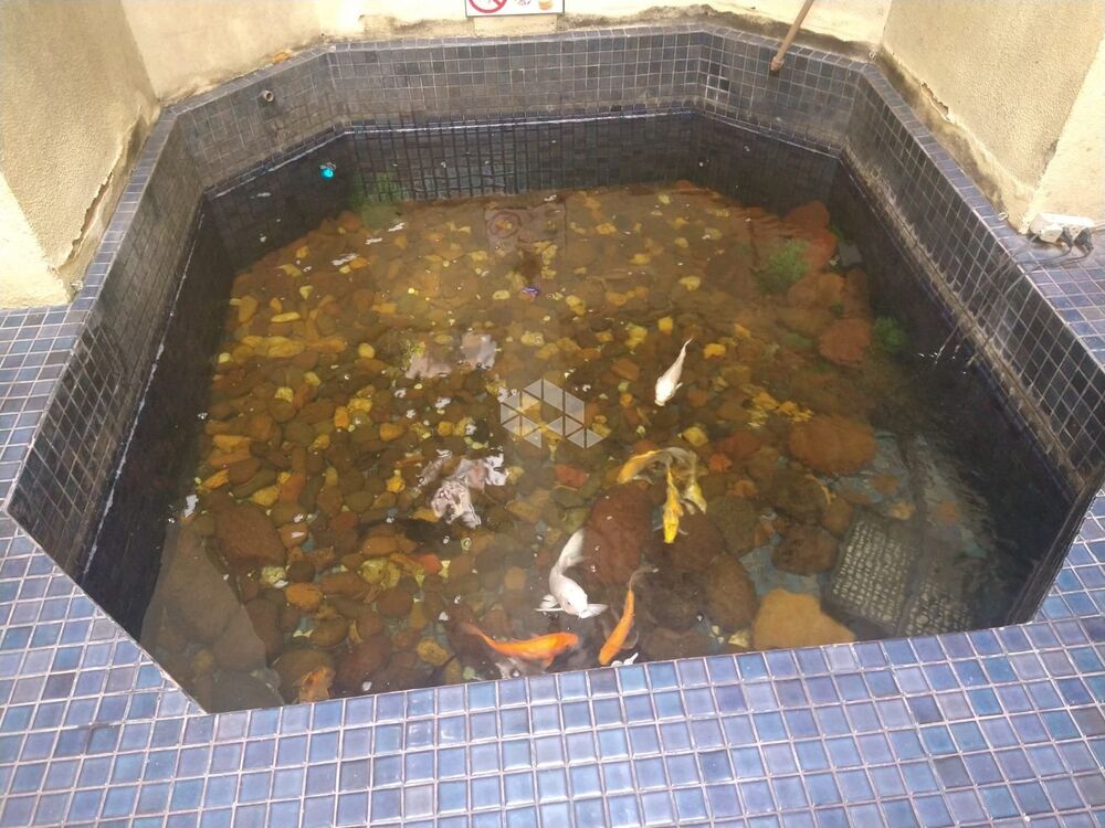 Sala-Conjunto, 40 m² - Foto 4