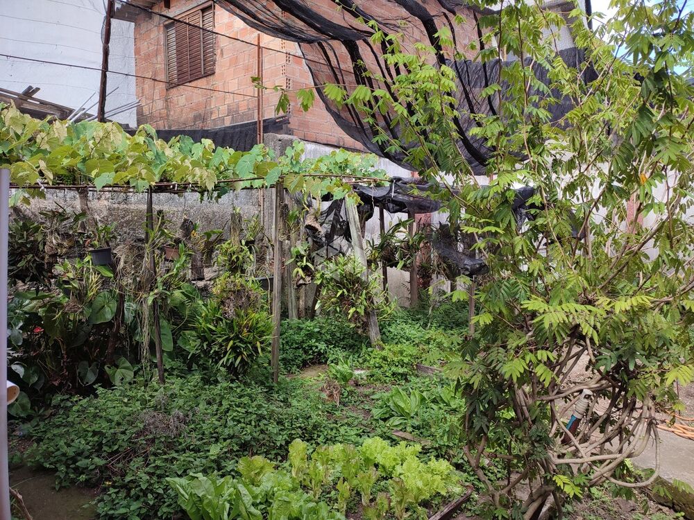 Loja-Salão, 242 m² - Foto 4