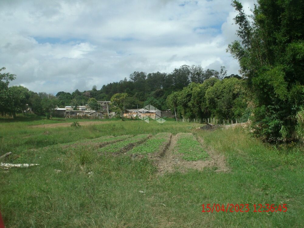 Chácara, 2 hectares - Foto 3