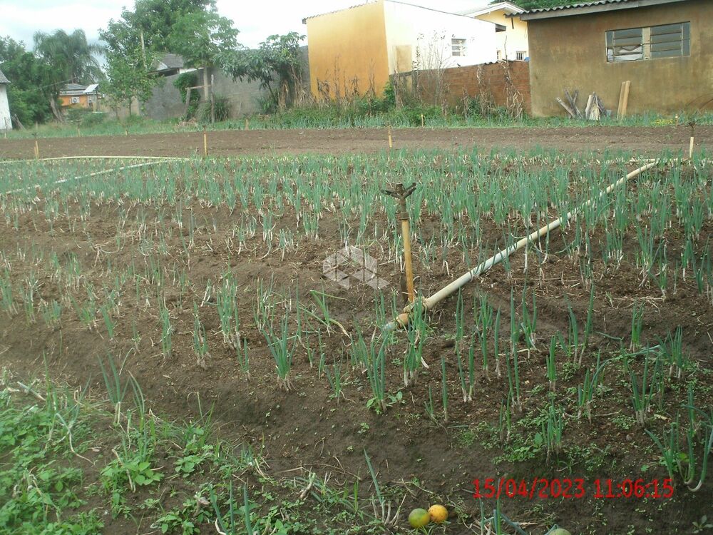 Chácara, 2 hectares - Foto 2