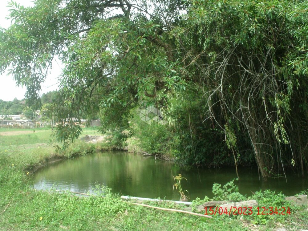 Chácara, 2 hectares - Foto 1