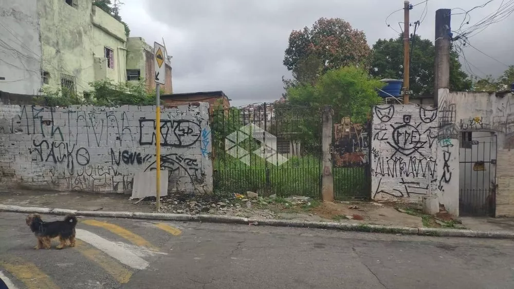 Terreno, 300 m² - Foto 6