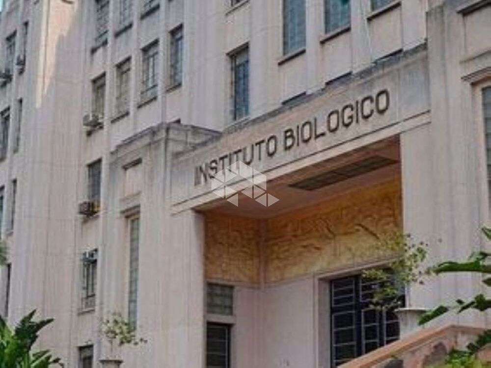 Apartamento, 4 quartos, 174 m² - Foto 3