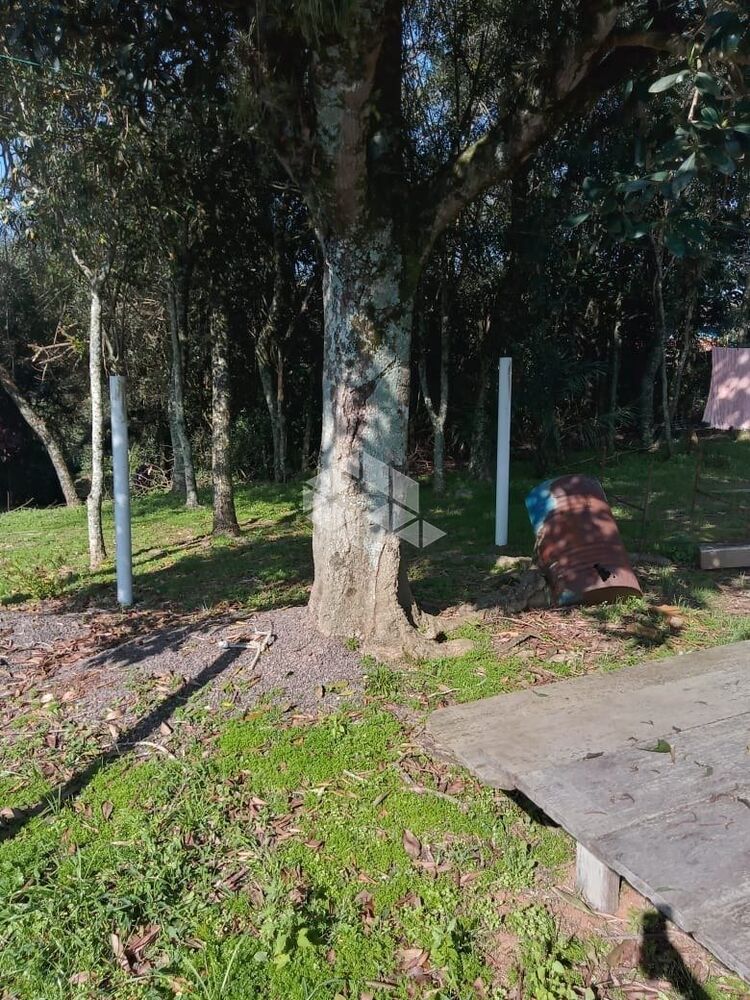 Terreno à venda, 25000m² - Foto 3