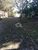 Terreno, 3 hectares - Foto 4
