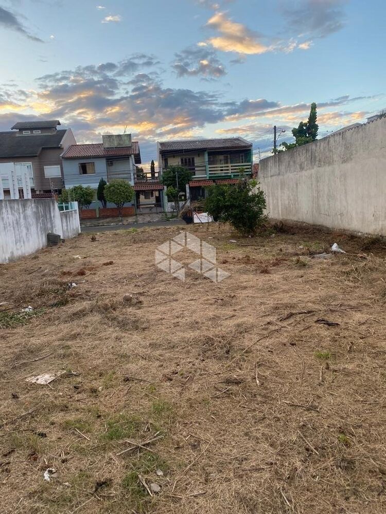 Terreno, 300 m² - Foto 6