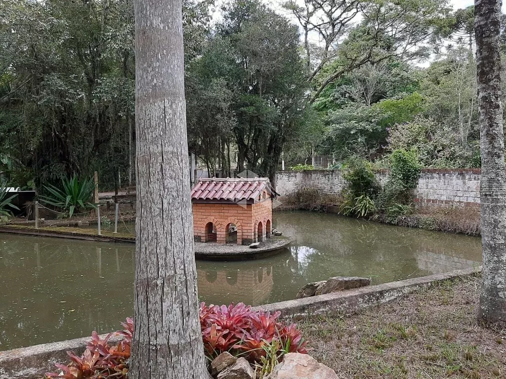 Sítio, 5000 m² - Foto 1