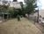 Casa, 3 quartos, 280 m² - Foto 4