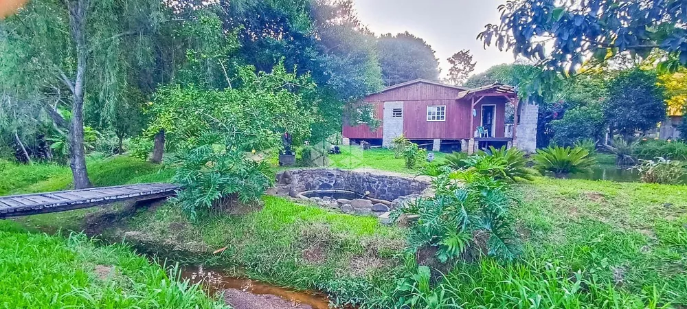 Sítio, 5 hectares - Foto 7