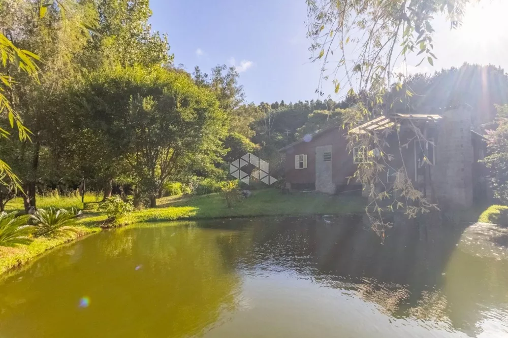 Sítio, 5 hectares - Foto 4