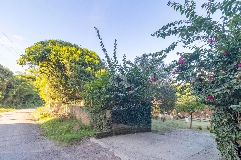 Sítio, 5 hectares - Foto 9