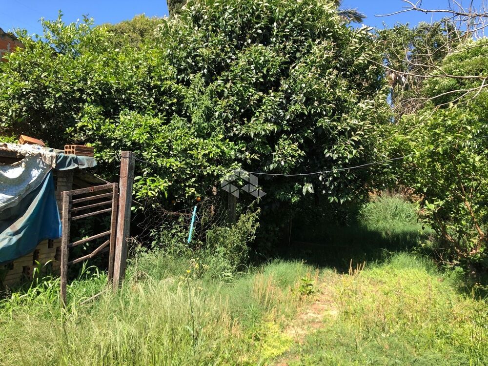 Casa à venda com 3 quartos, 387m² - Foto 4