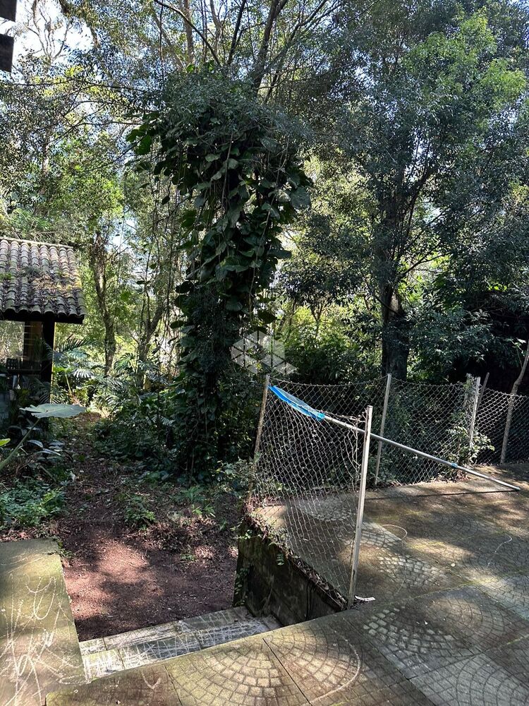 Casa, 7 quartos, 600 m² - Foto 4
