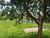 Sala-Conjunto, 1 m² - Foto 12